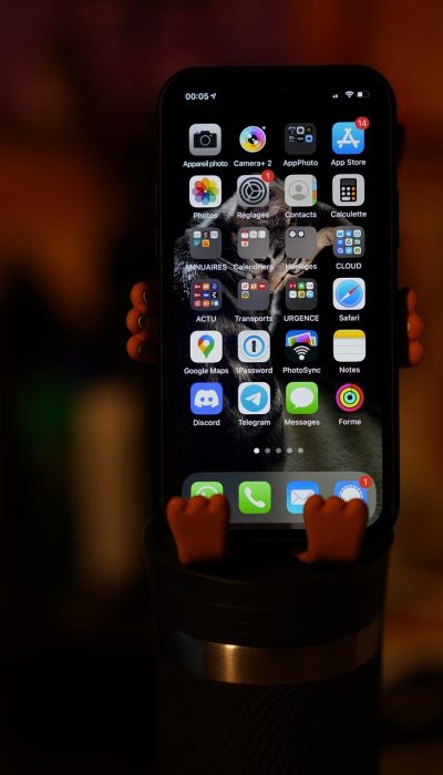 剑来 小说 App 信息核对卡界面，屏幕中列出名称可能指向的几种解释与待核标记，手机置于浅灰桌面